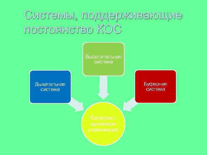 Системы, поддерживающие постоянство КОС Выделительная система Буферная система Дыхательная система Кислотнощелочное равновесие 