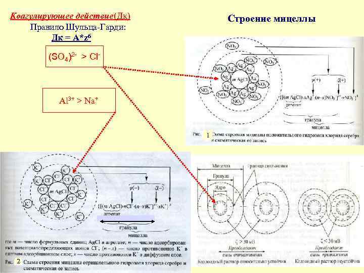 Коагулирующее действие(Дк) Правило Шульца-Гарди: Дк = А*z 6 Строение мицеллы (SO 4)2 - >