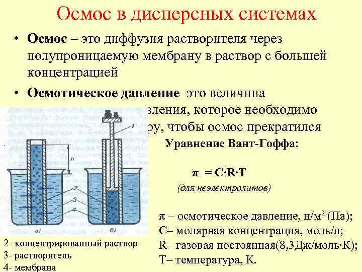 Осмос в дисперсных системах • Осмос – это диффузия растворителя через полупроницаемую мембрану в