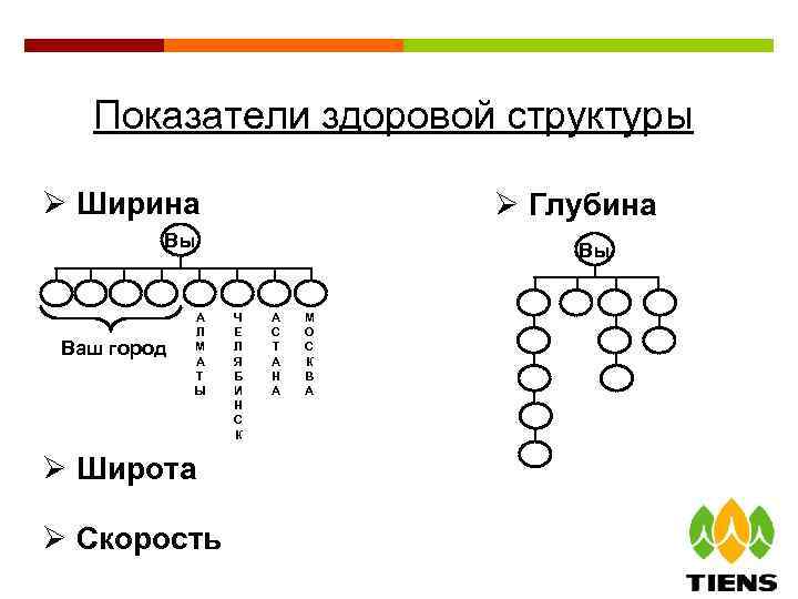 Показатели здоровой структуры Ø Ширина Ø Глубина Вы Ваш город А Л М А