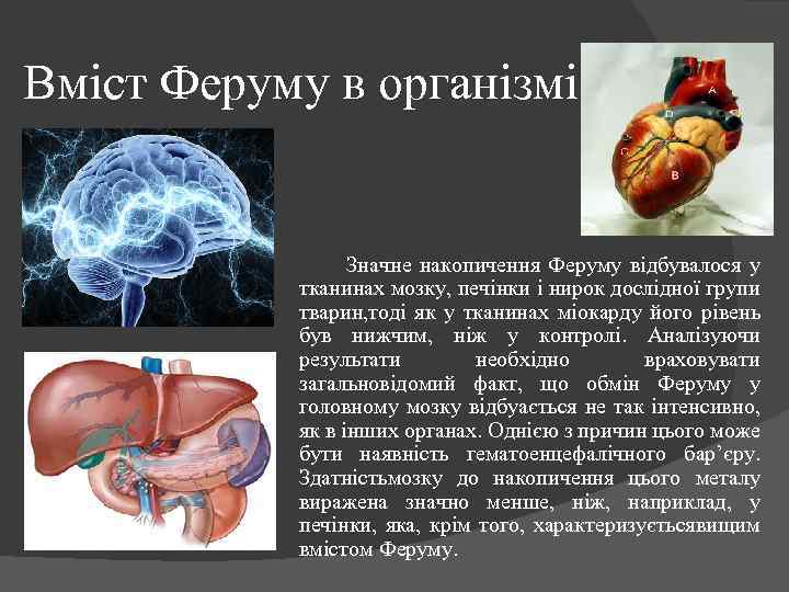 Вміст Феруму в організмі Значне накопичення Феруму відбувалося у тканинах мозку, печінки і нирок