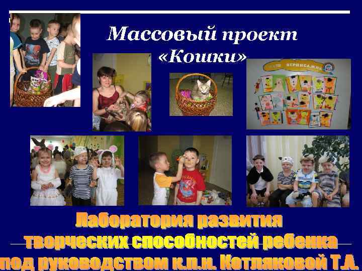 Массовый проект «Кошки» 