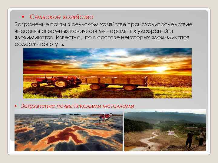 § Сельское хозяйство Загрязнение почвы в сельском хозяйстве происходит вследствие внесения огромных количеств минеральных
