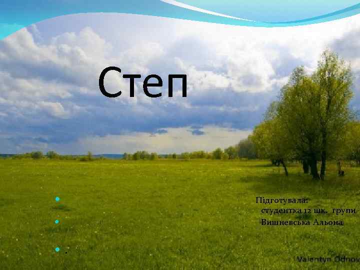 Степ Підготувала: студентка 12 шк. групи Вишневська Альона . 