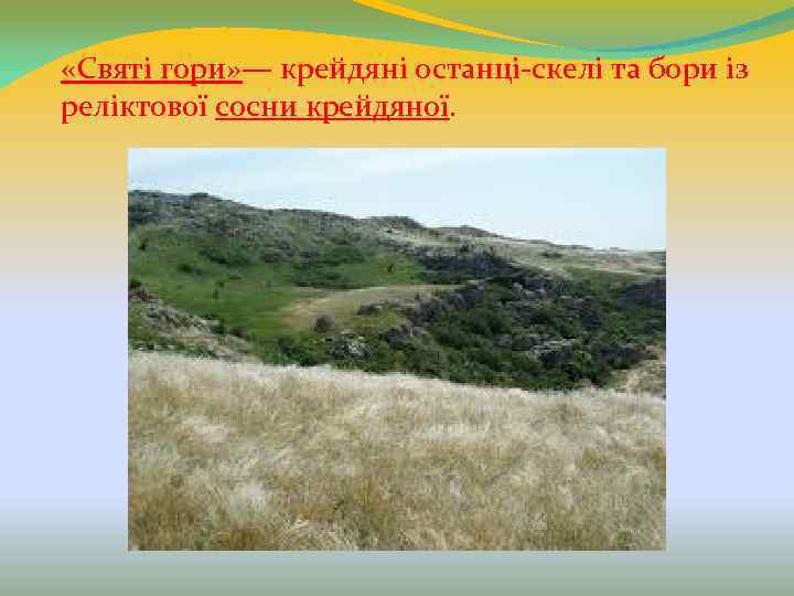  «Святі гори» — крейдяні останці-скелі та бори із реліктової сосни крейдяної. 