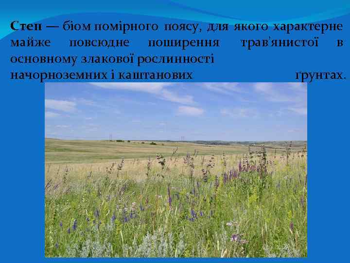 Степ — біом помірного поясу, для якого характерне майже повсюдне поширення трав'янистої в основному