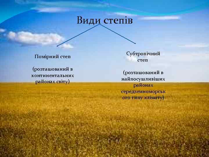 Види степів Помірний степ (розташований в континентальних районах світу) Субтропічний степ (розташований в найпосушливіших