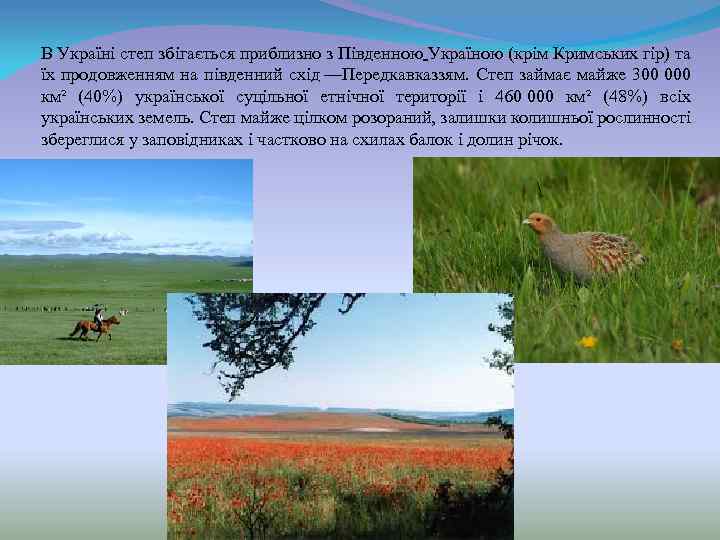 В Україні степ збігається приблизно з Південною Україною (крім Кримських гір) та їх продовженням