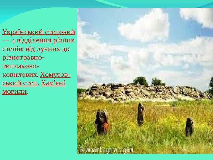 Український степовий — 4 відділення різних степів: від лучних до різнотравнотипчаковоковилових. Хомутовський степ, Кам'яні