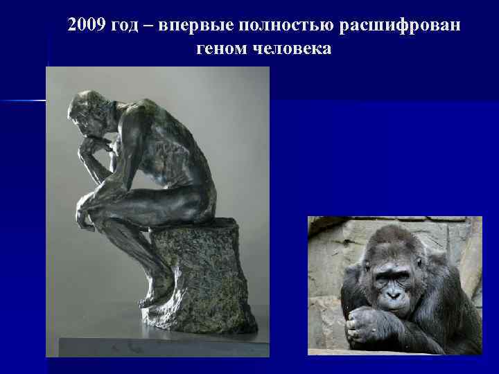 2009 год – впервые полностью расшифрован геном человека 