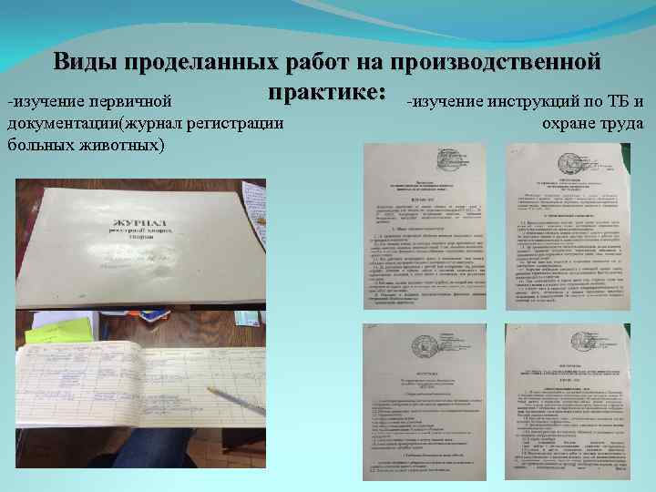 Виды проделанных работ на производственной практике: -изучение инструкций по ТБ и -изучение первичной документации(журнал