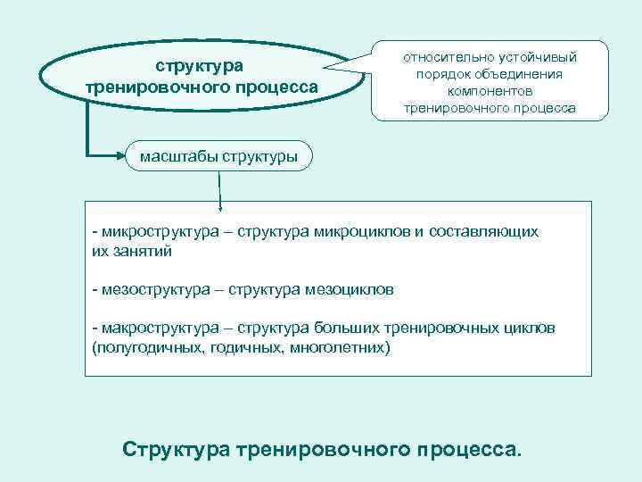 Структура масштабы