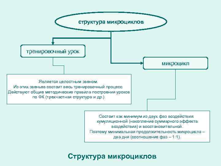 структура микроциклов тренировочный урок микроцикл Является целостным звеном. Из этих звеньев состоит весь тренировочный