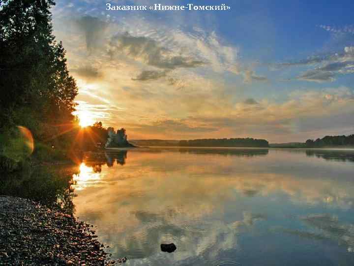 Заказник «Нижне-Томский» 