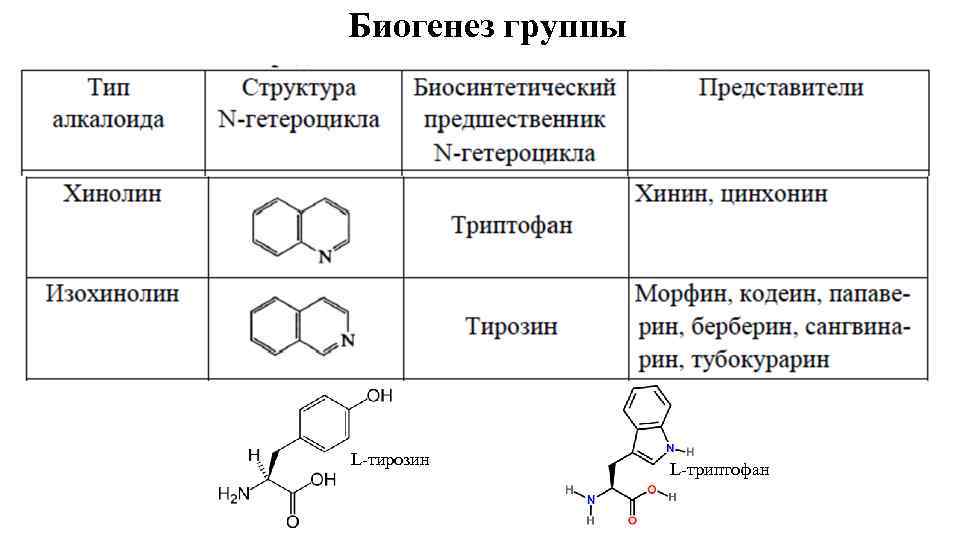 Биогенез группы L-тирозин L-триптофан 