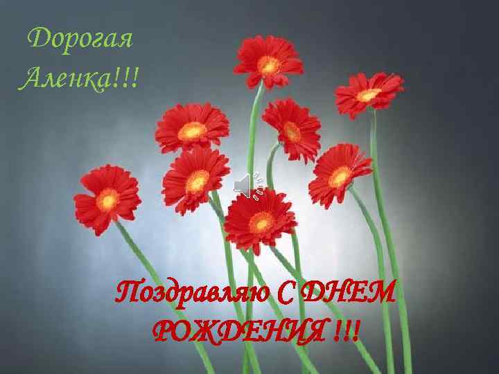 Дорогая Аленка!!! Поздравляю С ДНЕМ РОЖДЕНИЯ !!! 