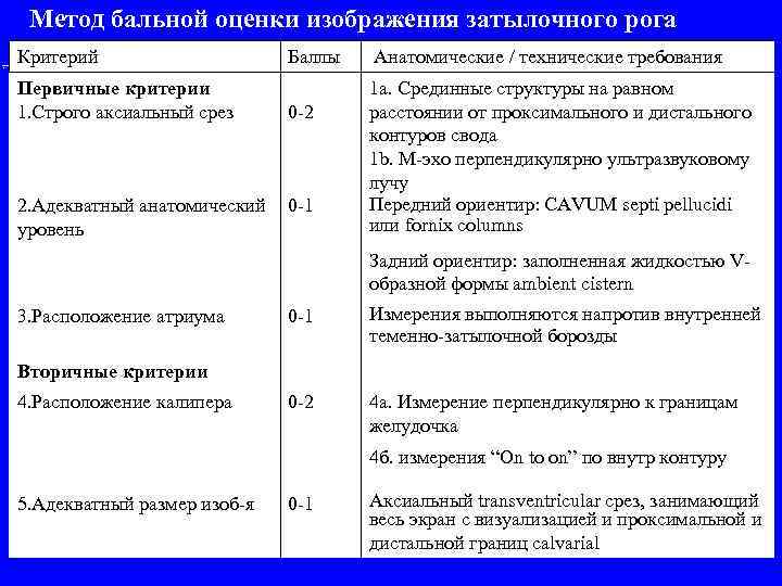 Метод бальной оценки изображения затылочного рога Критерий Первичные критерии 1. Строго аксиальный срез 2.