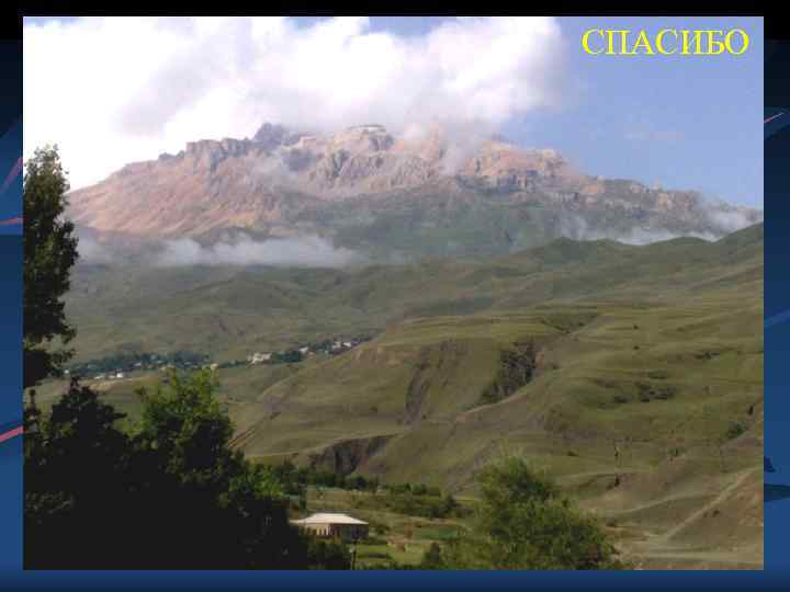 СПАСИБО 