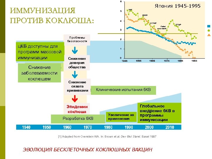 Япония 1945 -1995 ИММУНИЗАЦИЯ ПРОТИВ КОКЛЮША: Проблемы безопасности ц. КВ доступны для программ массовой