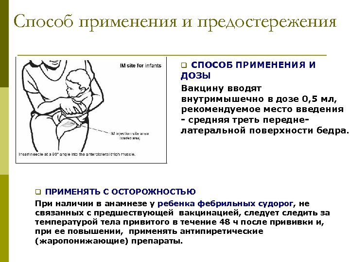 Cпособ применения и предостережения q СПОСОБ ПРИМЕНЕНИЯ И ДОЗЫ Вакцину вводят внутримышечно в дозе