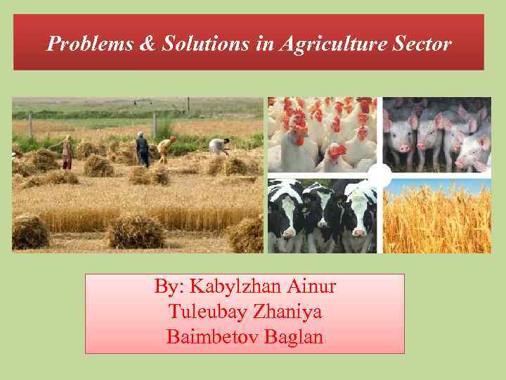 Problems & Solutions in Agriculture Sector By: Kabylzhan Ainur Tuleubay Zhaniya Baimbetov Baglan 