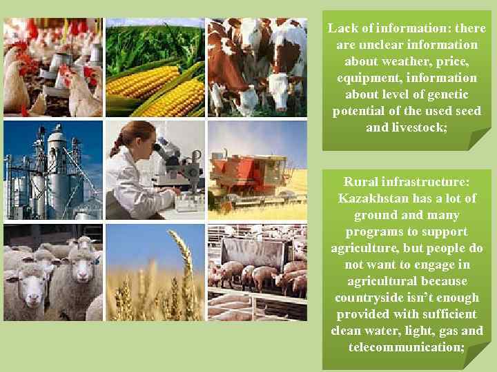 Lack of information: there are unclear information about weather, price, equipment, information about level