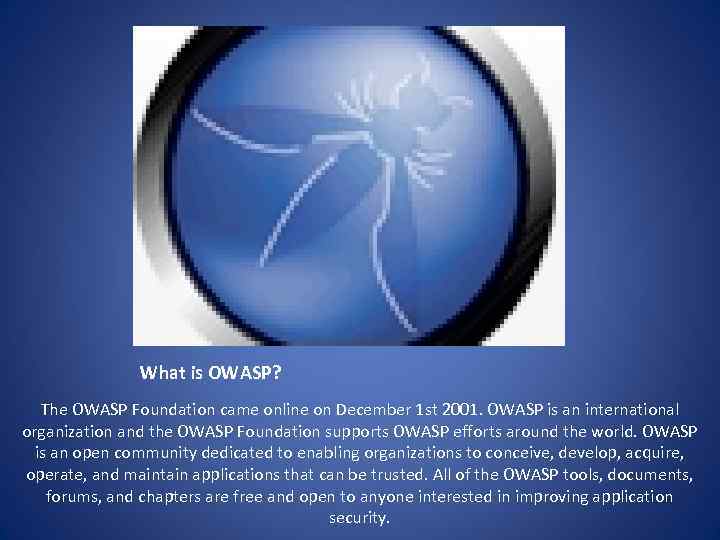 What is OWASP? The OWASP Foundation came online on December 1 st 2001. OWASP