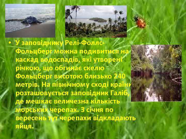  • У заповіднику Релі-Фоллс. Фольцберг можна подивитися на каскад водоспадів, які утворені річкою,