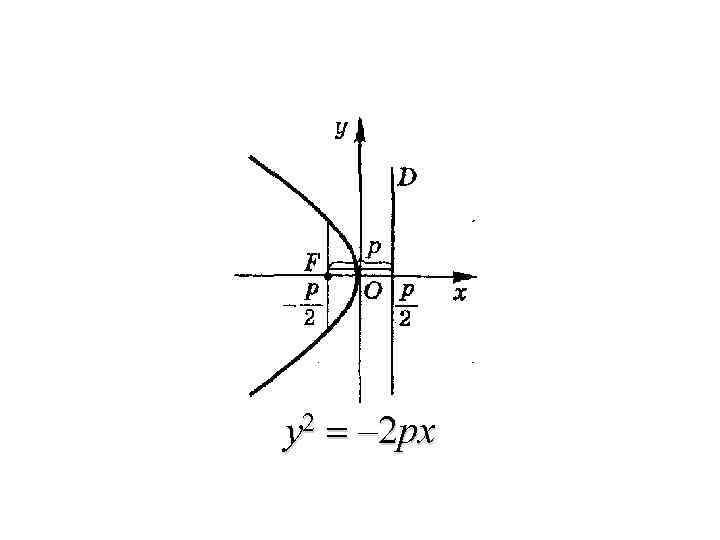 y 2 = – 2 px 