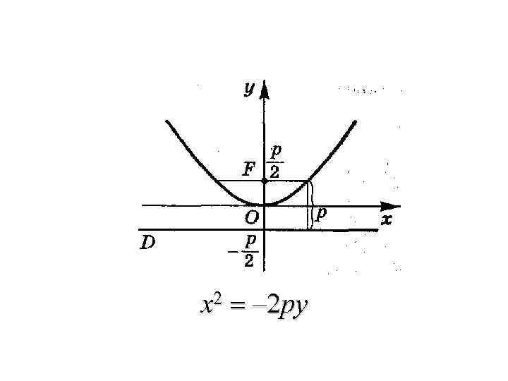 x 2 = – 2 py 