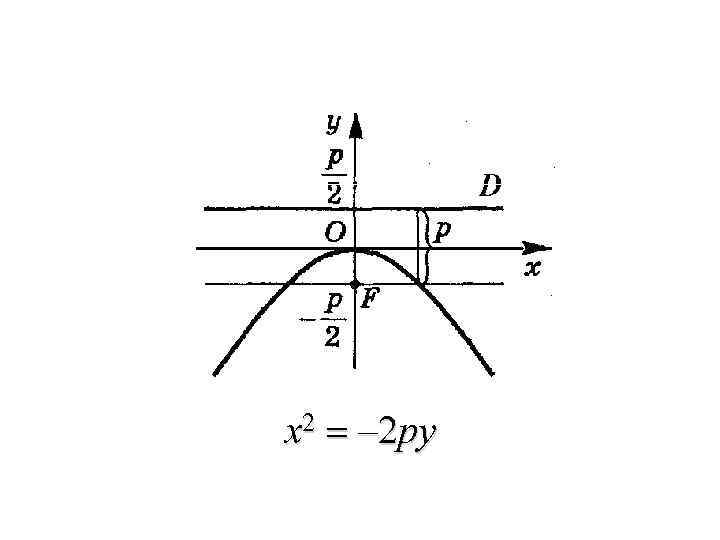 x 2 = – 2 py 