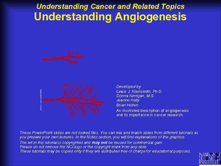 Understanding Cancer and Related Topics Understanding Angiogenesis Developed by: Lewis J. Kleinsmith, Ph. D.