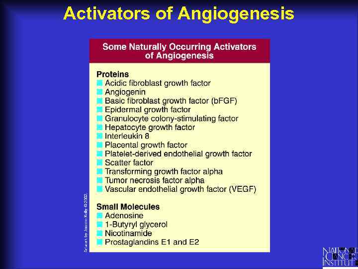 Activators of Angiogenesis 