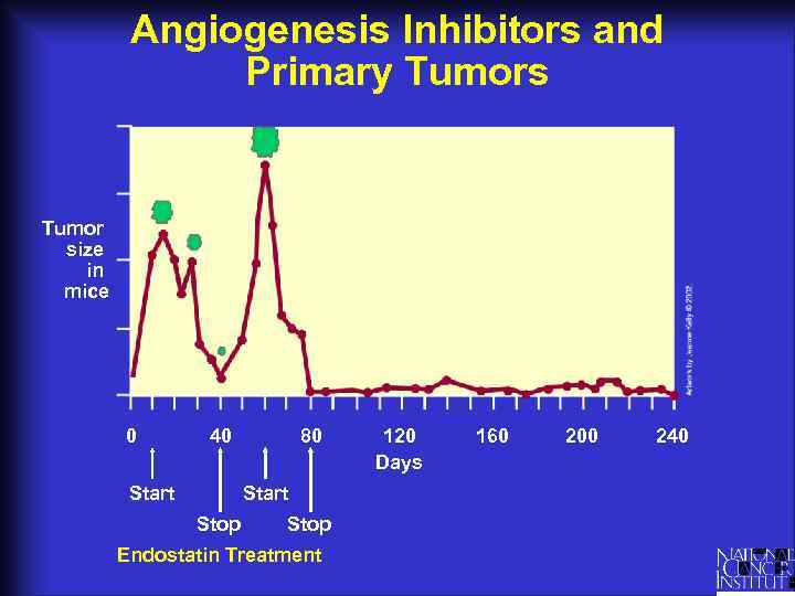 Angiogenesis Inhibitors and Primary Tumors Tumor size in mice 0 40 Start 80 Start