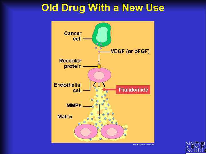 Old Drug With a New Use Cancer cell VEGF (or b. FGF) Receptor protein