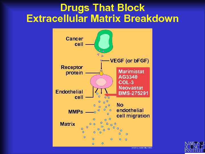 Drugs That Block Extracellular Matrix Breakdown Cancer cell VEGF (or b. FGF) Receptor protein