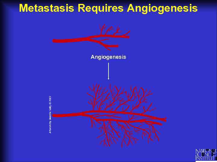 Metastasis Requires Angiogenesis 