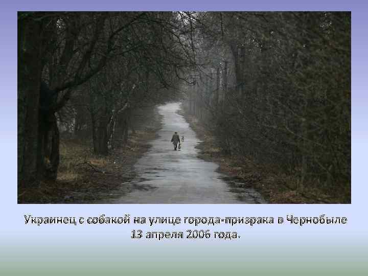 Украинец с собакой на улице города-призрака в Чернобыле 13 апреля 2006 года. 