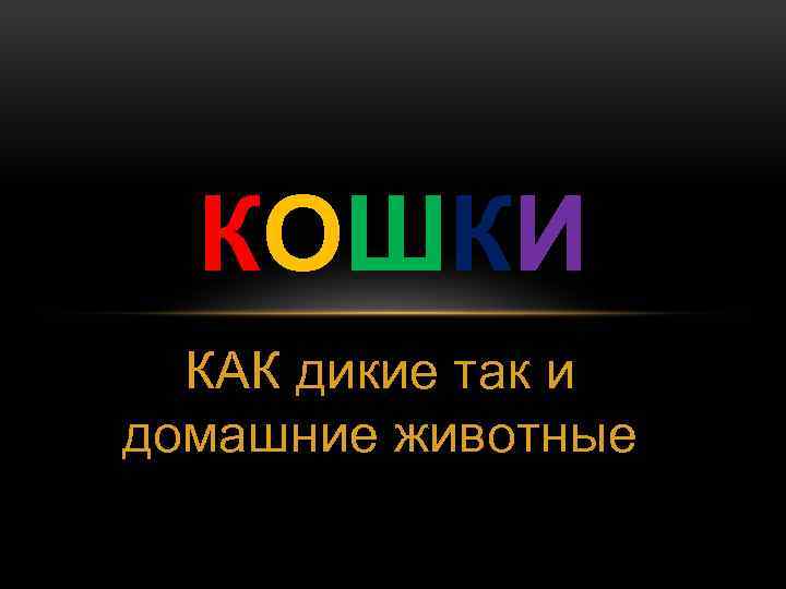 КОШКИ КАК дикие так и домашние животные 