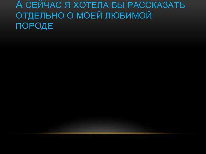 А СЕЙЧАС Я ХОТЕЛА БЫ РАССКАЗАТЬ ОТДЕЛЬНО О МОЕЙ ЛЮБИМОЙ ПОРОДЕ 