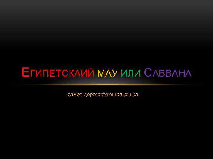 ЕГИПЕТСКАИЙ МАУ ИЛИ САВВАНА самая дорогостоющая кошка 