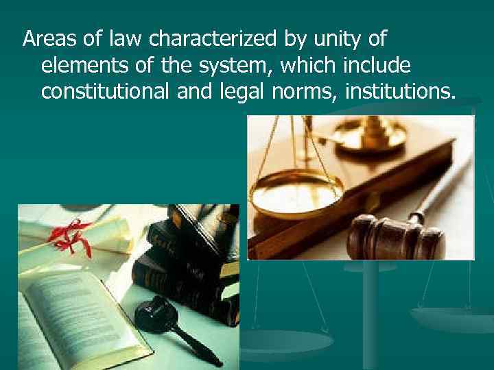 Areas of law characterized by unity of elements of the system, which include constitutional