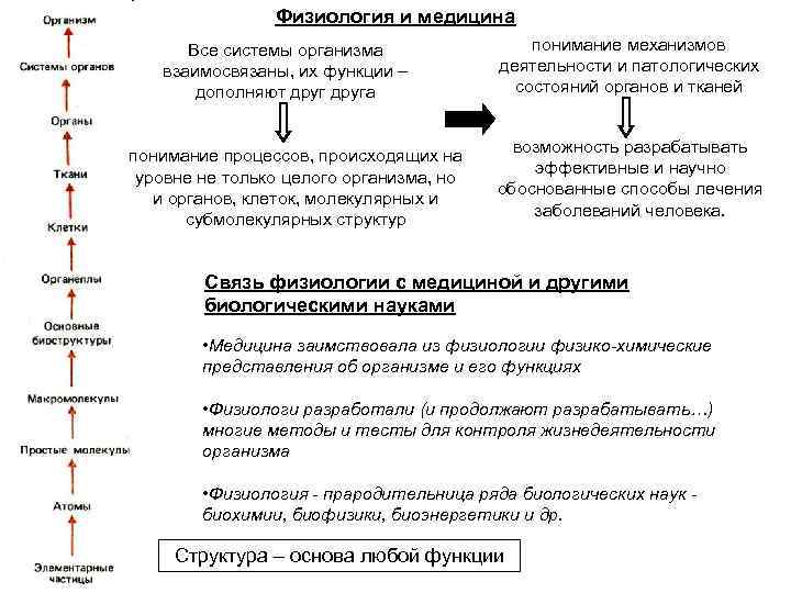 Физиология и медицина Все системы организма взаимосвязаны, их функции – дополняют друга понимание процессов,