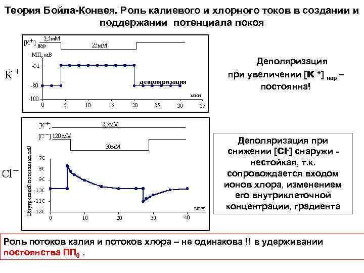 Теория Бойла-Конвея. Роль калиевого и хлорного токов в создании и поддержании потенциала покоя деполяризация