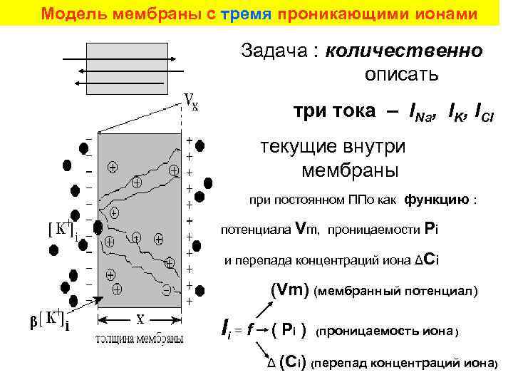 Модель мембраны с тремя проникающими ионами Задача : количественно описать три тока – INa,