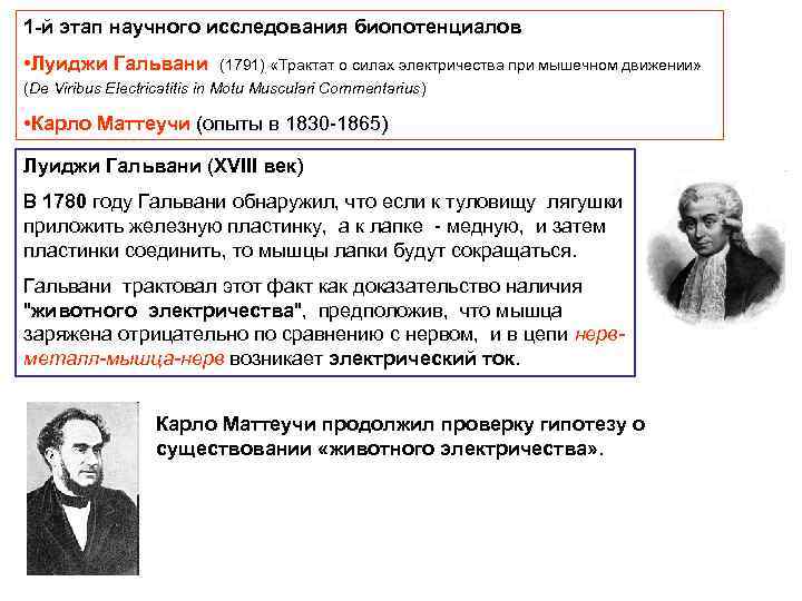 1 -й этап научного исследования биопотенциалов • Луиджи Гальвани (1791) «Трактат о силах электричества