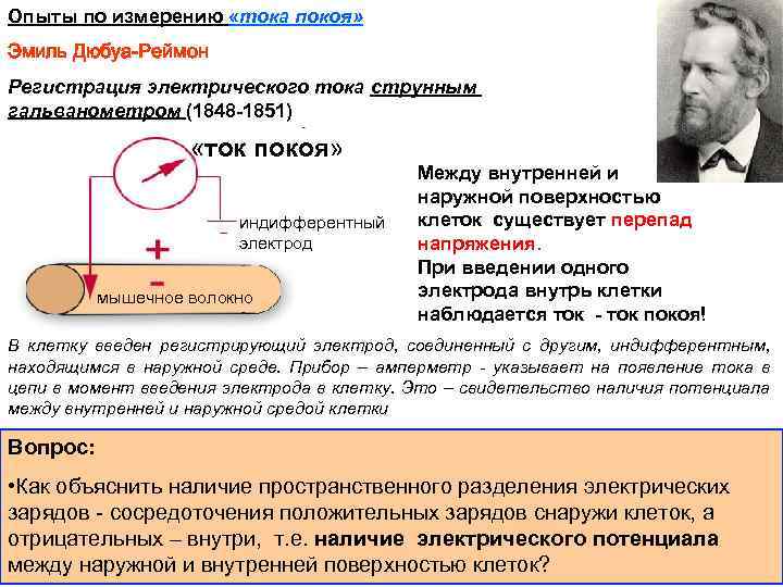 Опыты по измерению «тока покоя» Эмиль Дюбуа-Реймон Регистрация электрического тока струнным гальванометром (1848 -1851)