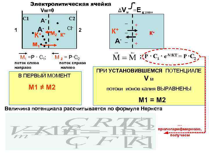 Электролитическая ячейка Vм=0 С 1 1 С 2 А- АК+ М 2 К +