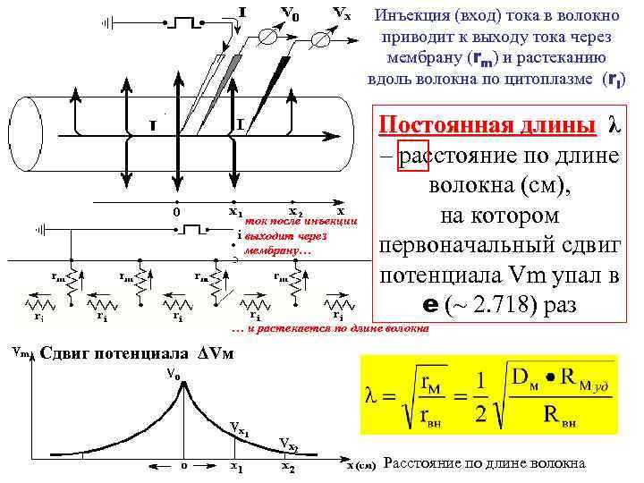 После ток