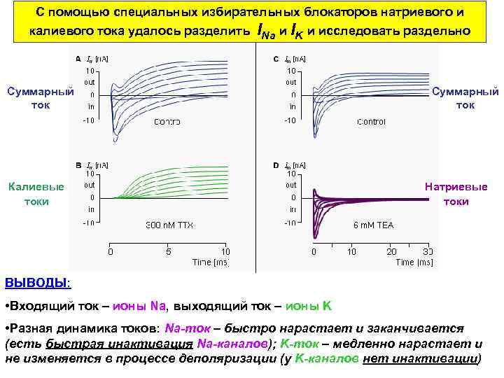 С помощью специальных избирательных блокаторов натриевого и калиевого тока удалось разделить INa и IK